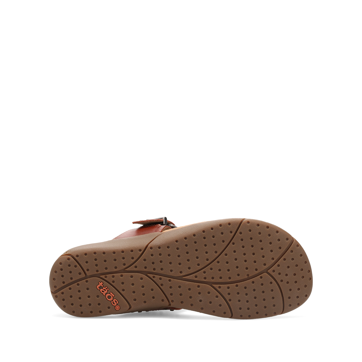 Flash - Image 6