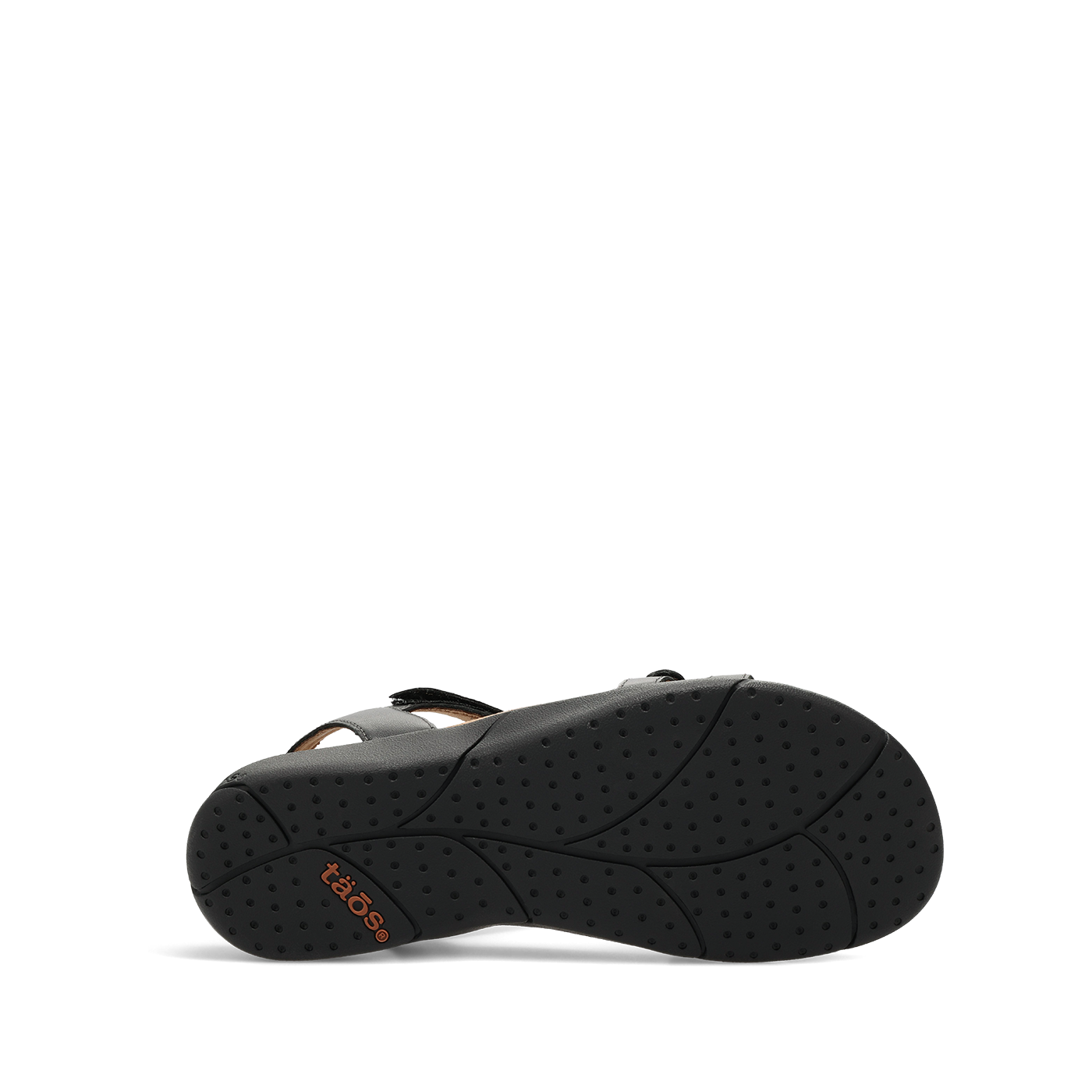 Trophy 2 - Image 6
